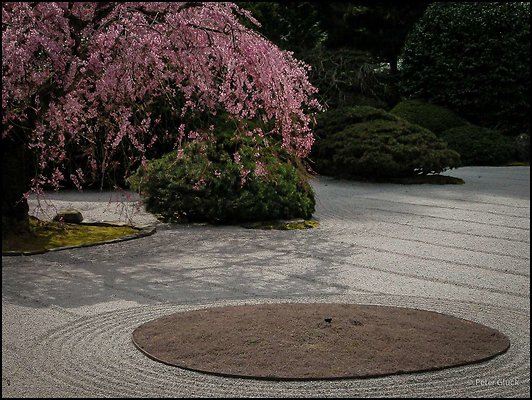 japanese garden 017