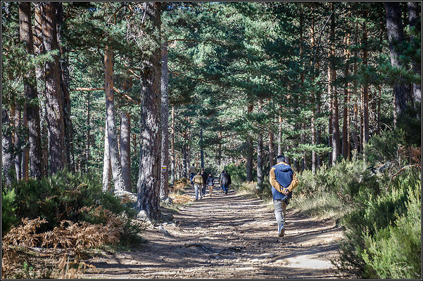 Spain CastroviejoCuevaSirena 2021 Oct PG 074