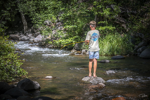 Sedona 2024 Aug PG 231